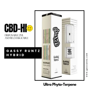CBD-Hi “Gassy Runtz” Disposable Vape 2ml